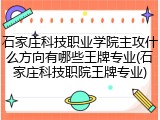 石家庄科技职业学院主攻什么方向有哪些王牌专业(石家庄科技职院王牌专业)