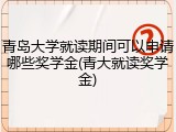 青岛大学就读期间可以申请哪些奖学金(青大就读奖学金)
