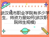 武汉城市职业学院有多少学生，师资力量如何(武汉职院师生规模)