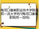 梅河口康美职业技术学院是双一流大学吗?(梅河口康美职院双一流吗)