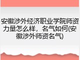 安徽涉外经济职业学院师资力量怎么样，名气如何(安徽涉外师资名气)