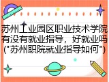 苏州工业园区职业技术学院有没有就业指导，好就业吗("苏州职院就业指导如何")