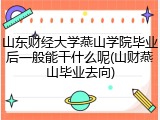 山东财经大学燕山学院毕业后一般能干什么呢(山财燕山毕业去向)