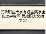 民政职业大学有哪些奖学金和助学金呢(民政职大奖助学金)
