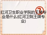 红河卫生职业学院的王牌专业是什么(红河卫院王牌专业)
