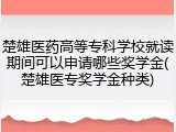 楚雄医药高等专科学校就读期间可以申请哪些奖学金(楚雄医专奖学金种类)