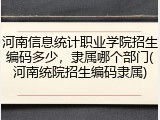 河南信息统计职业学院招生编码多少，隶属哪个部门(河南统院招生编码隶属)