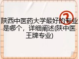 陕西中医药大学最好的专业是哪个，详细阐述(陕中医王牌专业)