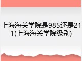 上海海关学院是985还是211(上海海关学院级别)