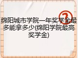 绵阳城市学院一年奖学金最多能拿多少(绵阳学院最高奖学金)