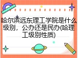 哈尔滨远东理工学院是什么级别，公办还是民办(哈理工级别性质)