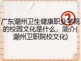 广东潮州卫生健康职业学院的校园文化是什么，简介(潮州卫职院校文化)