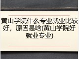 黄山学院什么专业就业比较好，原因是啥(黄山学院好就业专业)