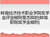 蚌埠经济技术职业学院奖学金评定细则是怎样的(蚌埠职院奖学金细则)