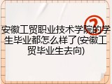 安徽工贸职业技术学院的学生毕业都怎么样了(安徽工贸毕业生去向)