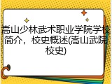 嵩山少林武术职业学院学校简介，校史概述(嵩山武院校史)