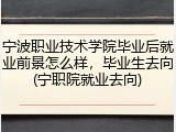 宁波职业技术学院毕业后就业前景怎么样，毕业生去向(宁职院就业去向)