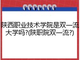 陕西职业技术学院是双一流大学吗?(陕职院双一流?)