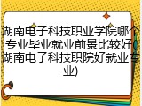 湖南电子科技职业学院哪个专业毕业就业前景比较好(湖南电子科技职院好就业专业)