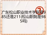 广东松山职业技术学院是985还是211(松山职院是985吗)