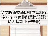 辽宁轨道交通职业学院哪个专业毕业就业前景比较好(辽职院就业好专业)