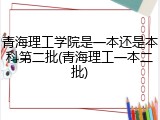 青海理工学院是一本还是本科第二批(青海理工一本二批)