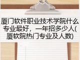厦门软件职业技术学院什么专业最好，一年招多少人(厦软院热门专业及人数)