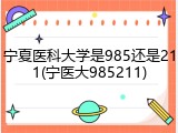 宁夏医科大学是985还是211(宁医大985211)