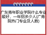 广东青年职业学院什么专业最好，一年招多少人(广青院热门专业及人数)