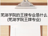 芜湖学院的王牌专业是什么(芜湖学院王牌专业)
