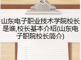 山东电子职业技术学院校长是谁,校长基本介绍(山东电子职院校长简介)