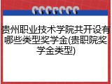 贵州职业技术学院共开设有哪些类型奖学金(贵职院奖学金类型)