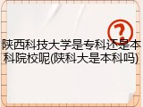 陕西科技大学是专科还是本科院校呢(陕科大是本科吗)