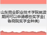 山东商业职业技术学院就读期间可以申请哪些奖学金(鲁商院奖学金种类)