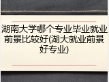 湖南大学哪个专业毕业就业前景比较好(湖大就业前景好专业)