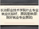 长治职业技术学院什么专业就业比较好，原因是啥(职院好就业专业原因)