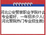 河北公安警察职业学院什么专业最好，一年招多少人(河北警院热门专业招生数)