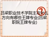 吕梁职业技术学院主攻什么方向有哪些王牌专业(吕梁职院王牌专业)