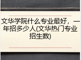 文华学院什么专业最好，一年招多少人(文华热门专业招生数)