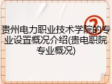 贵州电力职业技术学院的专业设置概况介绍(贵电职院专业概况)