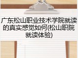 广东松山职业技术学院就读的真实感觉如何(松山职院就读体验)
