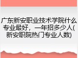 广东新安职业技术学院什么专业最好，一年招多少人(新安职院热门专业人数)
