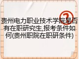 贵州电力职业技术学院是否有在职研究生,报考条件如何(贵州职院在职研条件)