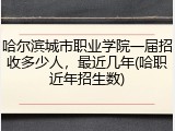哈尔滨城市职业学院一届招收多少人，最近几年(哈职近年招生数)