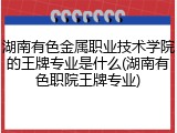 湖南有色金属职业技术学院的王牌专业是什么(湖南有色职院王牌专业)