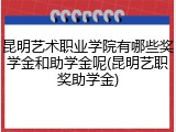 昆明艺术职业学院有哪些奖学金和助学金呢(昆明艺职奖助学金)