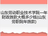 山东劳动职业技术学院一年财政拨款大概多少钱(山东劳职院年拨款)