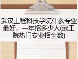 武汉工程科技学院什么专业最好，一年招多少人(武工院热门专业招生数)