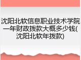 沈阳北软信息职业技术学院一年财政拨款大概多少钱(沈阳北软年拨款)