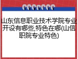 山东信息职业技术学院专业开设有哪些,特色在哪(山信职院专业特色)